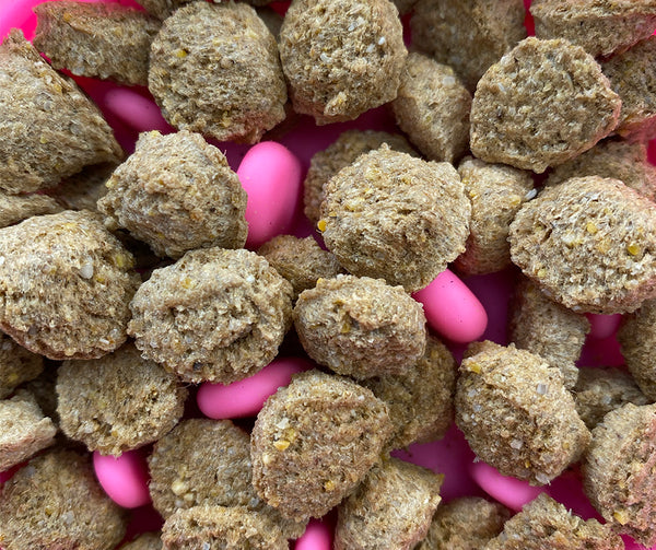 NZ Premium Dry Dog Food 60g Fish Adult Sample Hearty Paws Ltd